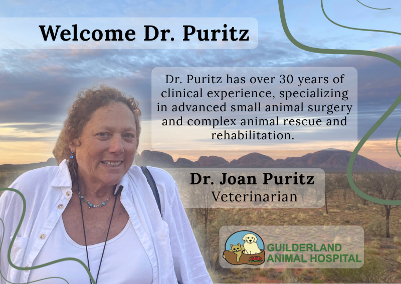 Carousel Slide 2: Welcome Dr. Joan Purtiz!