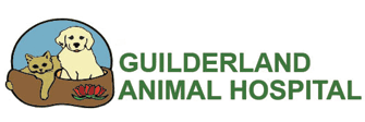 Link to Homepage of Guilderland Animal Hospital